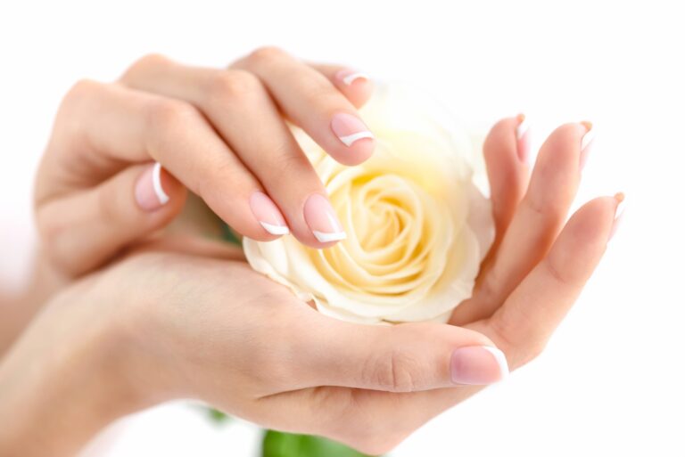 Hands of a woman with beautiful french manicure and white rose